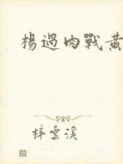 杨过肉战黄蓉
