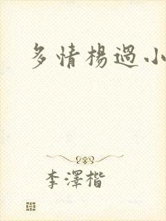 多情杨过小说
