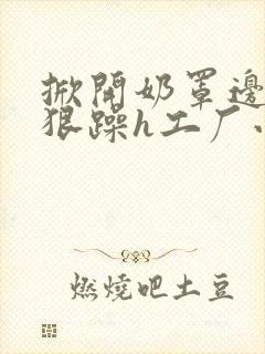 掀开奶罩边躁狠狠躁h工厂小说