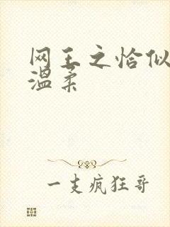 网王之恰似你的温柔封面