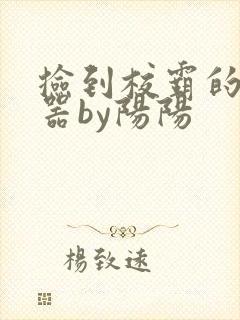 捡到校霸的遥控器by阳阳封面