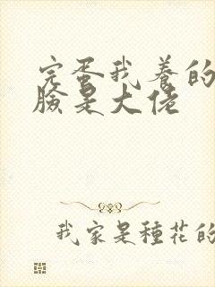 完蛋我养的小白脸是大佬