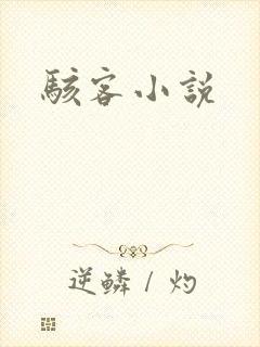 骇客小说