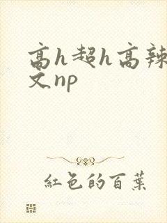 高h超h高辣h文np