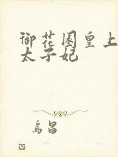 御花园皇上撞着太子妃