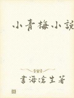 小青梅小说
