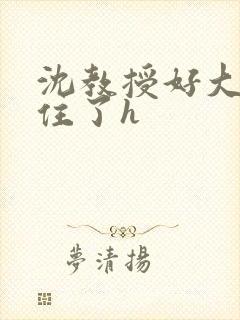 沈教授好大含不住了h