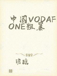 中国VODAFONE粗暴
