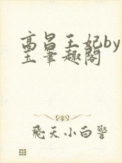 高昌王妃by黛玉笔趣阁