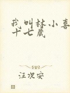 我叫林小喜今年十七岁封面
