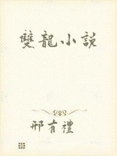 双龙小说