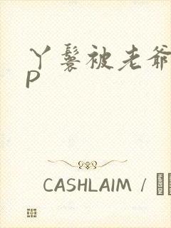 丫鬟被老爷玩NP封面