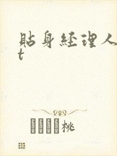 贴身经理人txt