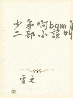 少年啊bgm第二部小说叫什么