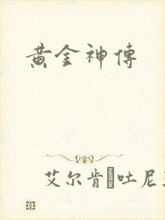黄金神传封面