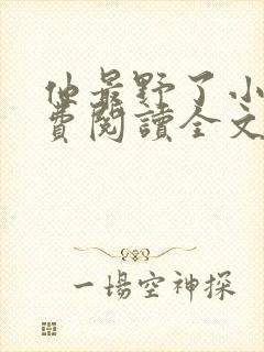 他最野了小说免费阅读全文