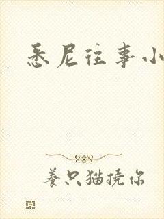 悉尼往事小说