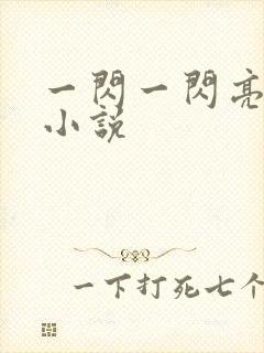 一闪一闪亮星星小说