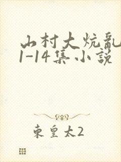 山村大炕乱肉续1-14集小说