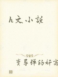 h文小说