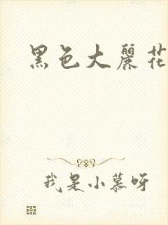 黑色大丽花图片