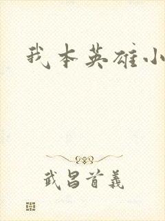 我本英雄小说封面