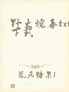 野火烧春txt下载封面
