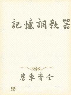 记忆调教器封面