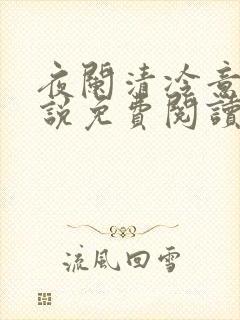 夜阑清冷意欢小说免费阅读