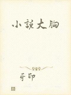 小说大胸