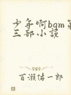 少年啊bgm第三部小说