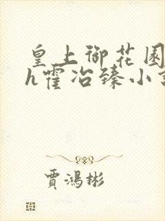 皇上御花园hlh霍冶臻小说封面
