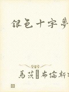 银色十字梦封面