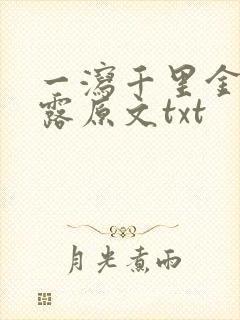 一泻千里金银花露原文txt