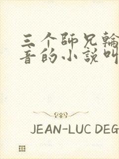 三个师兄轮流上音的小说叫什么