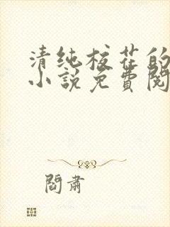 清纯校花的秘密小说免费阅读
