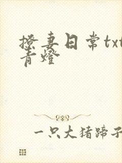 撩妻日常txt青灯