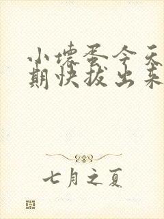 小坏蛋今天危险期快拔出来封面