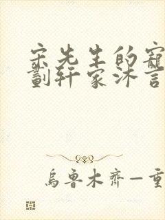 宋先生的宠妻计划轩家沐言封面