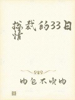 总裁的33日索情