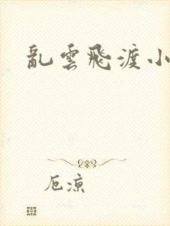 乱云飞渡小说