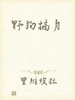 野狗摘月