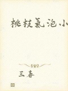 桃枝气泡小说