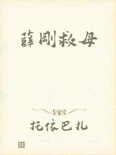 薛刚救母
