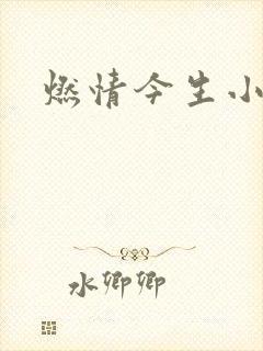 燃情今生小说