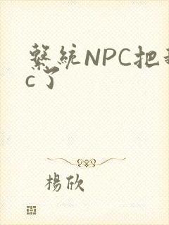 系统NPC把我c了