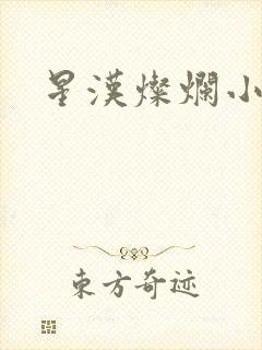 星汉灿烂小说