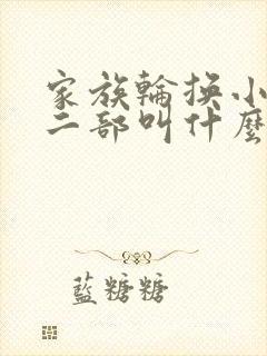 家族轮换小说第二部叫什么名字