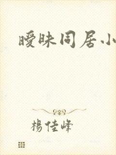 暧昧同居小说
