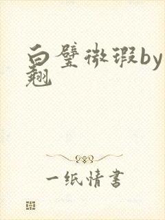 白璧微瑕by连翘